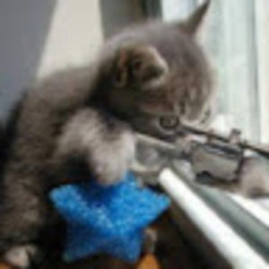 Meet your Posher, Dave